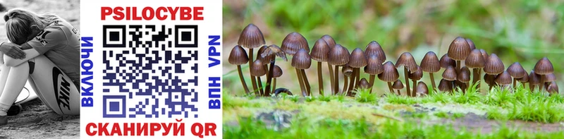 Псилоцибиновые грибы Magic Shrooms  Аша 